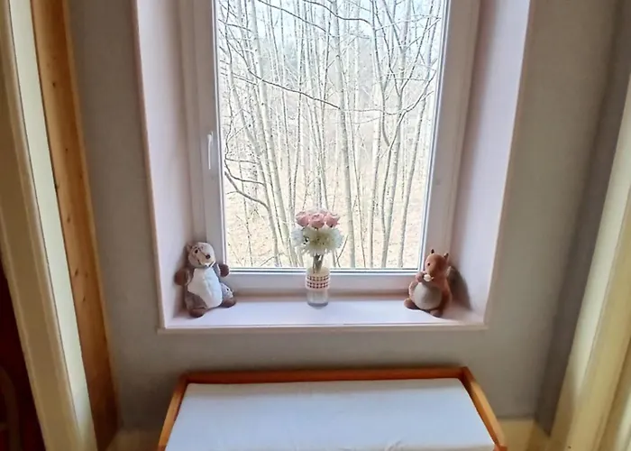 De L'ecureuil Appartement