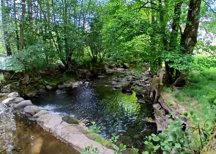 Appartement De L'ecureuil